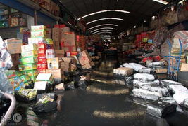 上海一淤泥處理場圍墻倒塌致農副產品市場被淹，應急處置工作展開