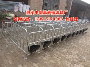 吉林養(yǎng)豬設(shè)備配套 母豬限位欄價(jià)格解析與豬用定位欄廠家批發(fā)指南